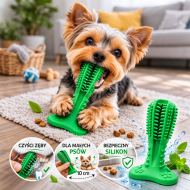 GRYZAK KAKTUS - f18aa1b0-de69-4efd-a5e7-3fdf71e0dc6f.png